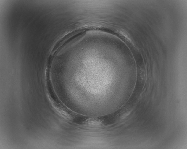 X0000071810491200606301231