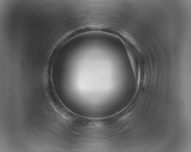 X0000071810492200606301231