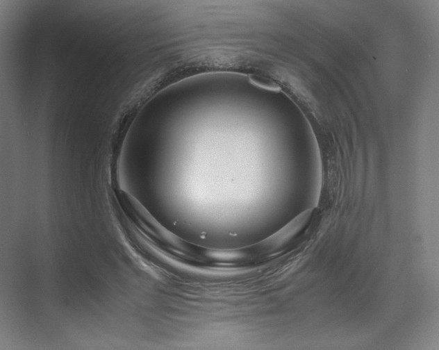 X0000071810493200606301231