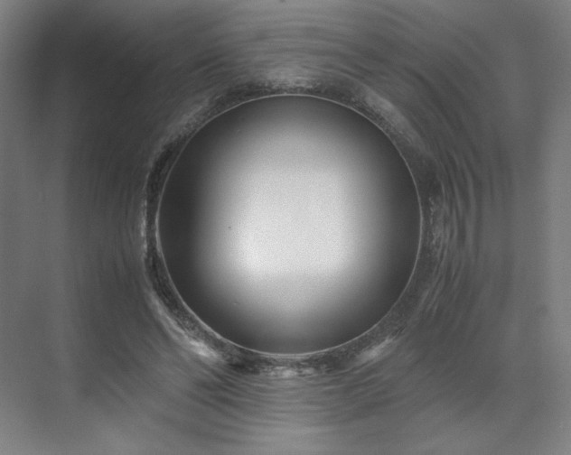 X0000071810494200606301231