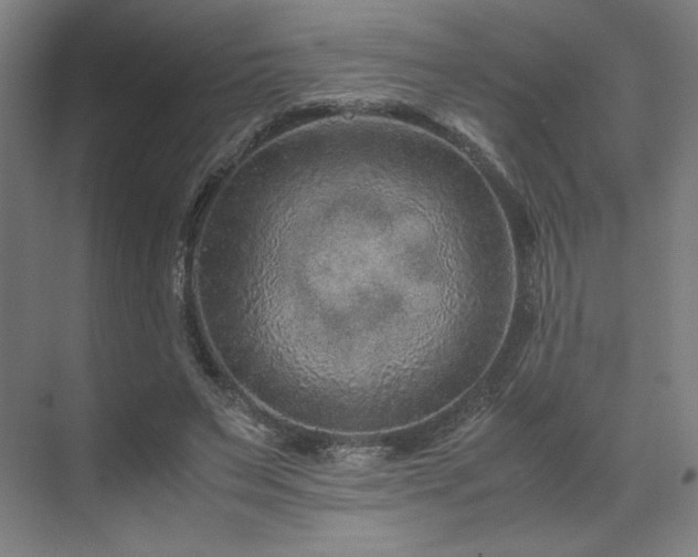 X0000071810495200606301231