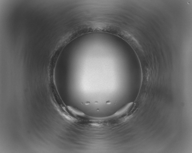 X0000071810496200606301231