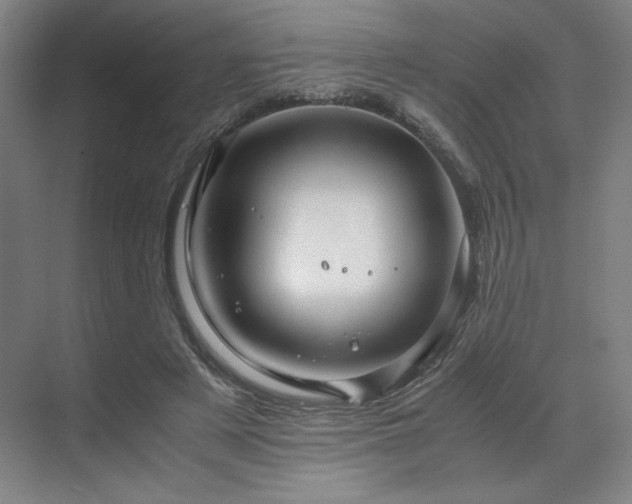 X0000071810497200606301230