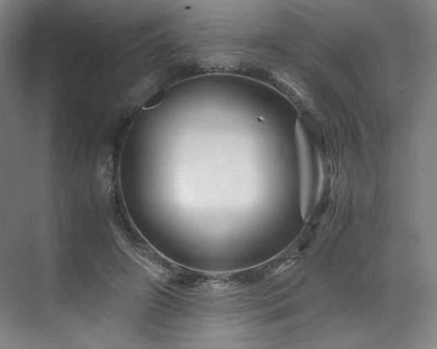 X0000071810498200606301230