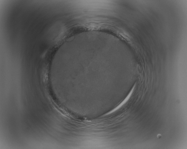 X0000071810499200606301230