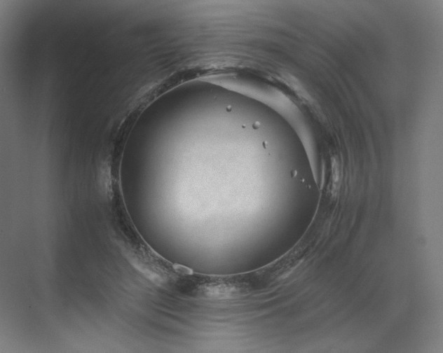 X0000071810500200606301230