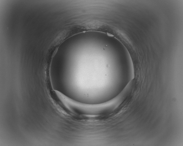 X0000071810501200606301230