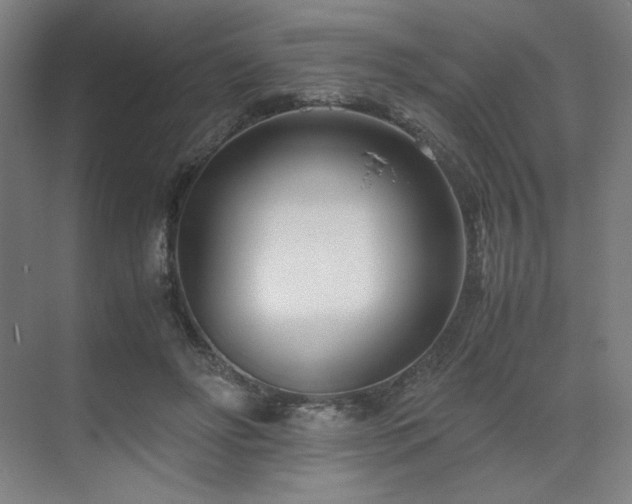 X0000071810502200606301230