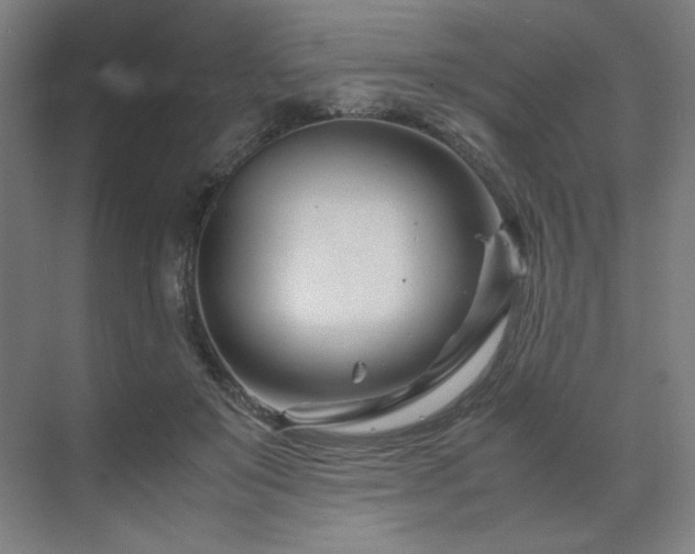 X0000071810503200606301230