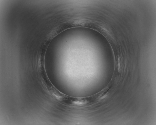 X0000071810504200606301230