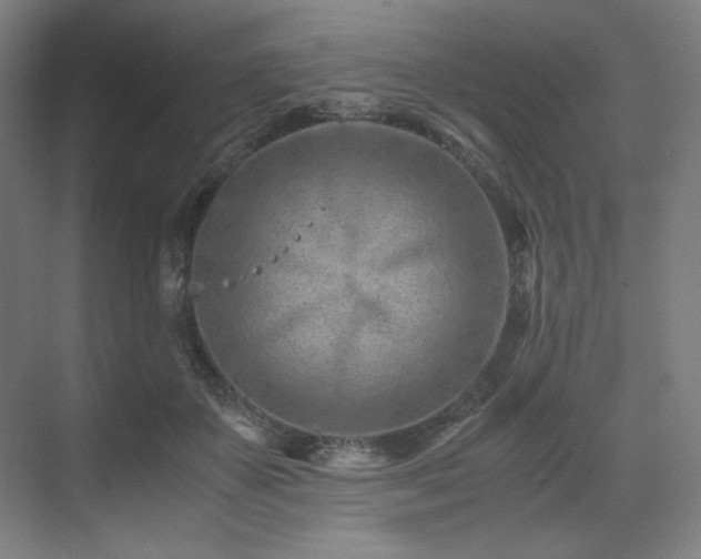 X0000071810507200606301230