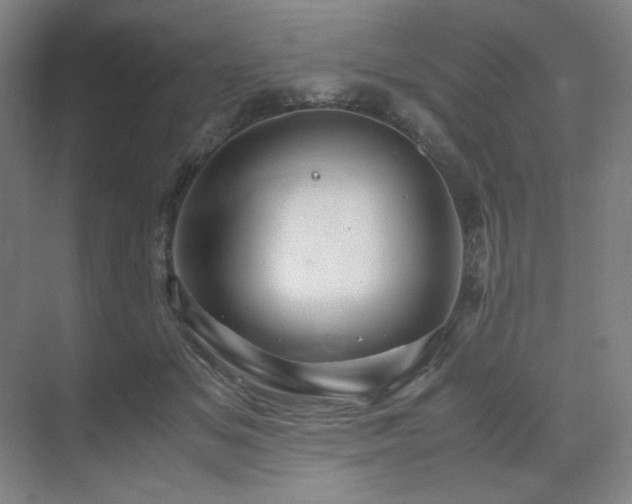 X0000071810509200606301230