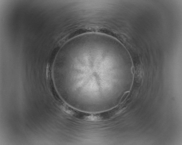 X0000071810511200606301230