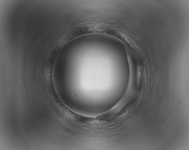 X0000071810513200606301230