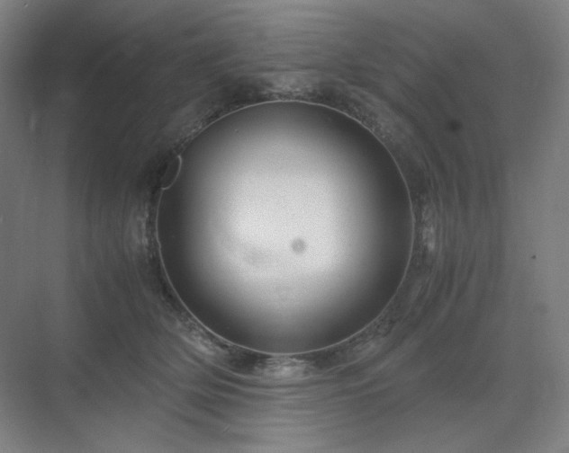 X0000071810514200606301230