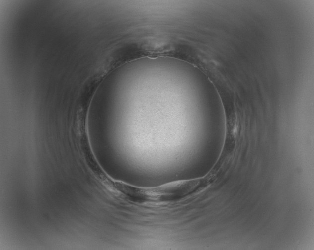 X0000071810515200606301230