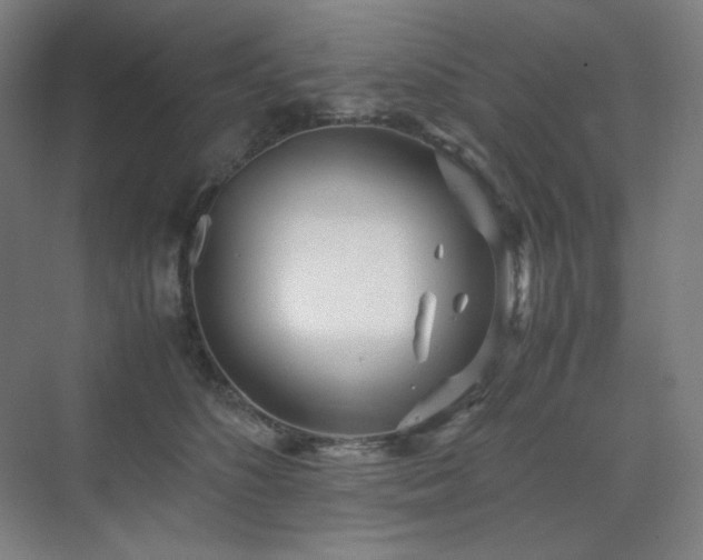 X0000071810516200606301230