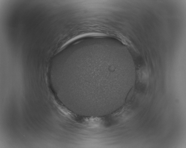 X0000071810517200606301230