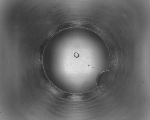 X0000071810518200606301230