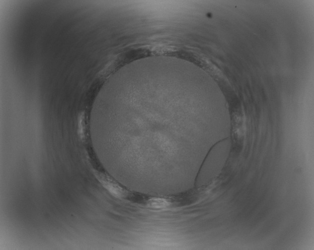 X0000071810519200606301230