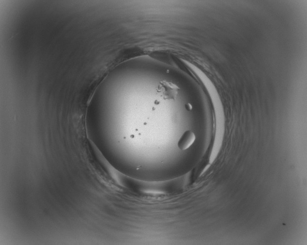 X0000071810521200606301230