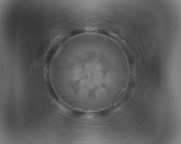 X0000071810523200606301230