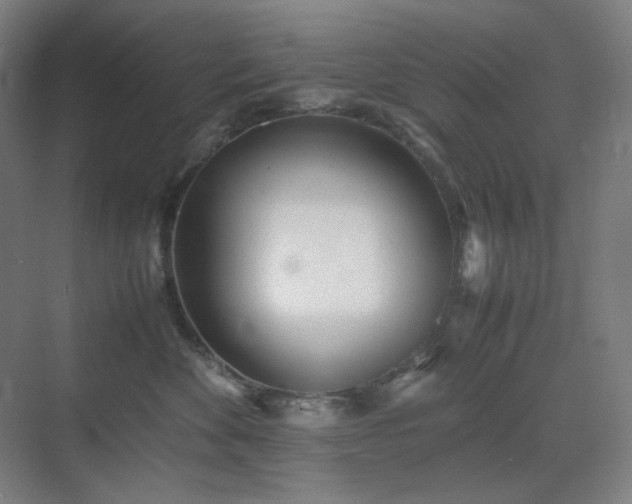 X0000071810524200606301230