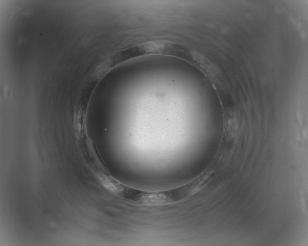 X0000071810525200606301230