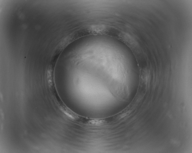 X0000071810526200606301230