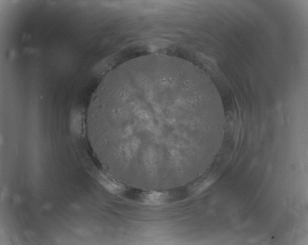 X0000071810527200606301230