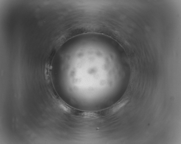 X0000071810528200606301230