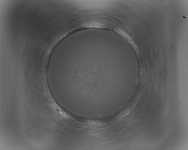 X0000071810529200606301229