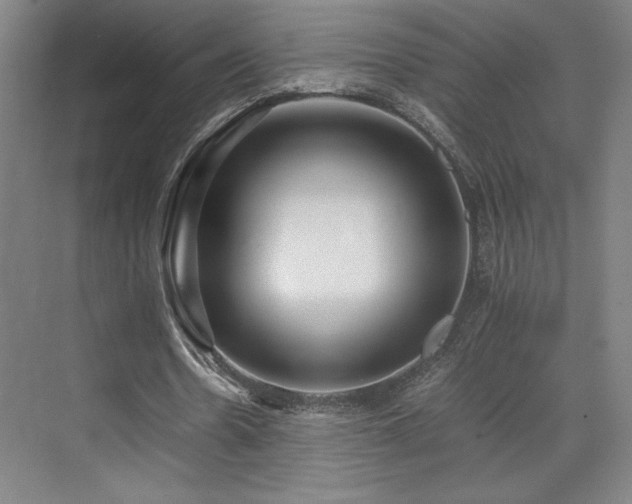 X0000071810530200606301229