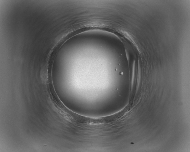 X0000071810531200606301229