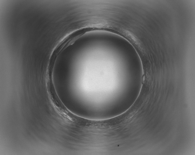 X0000071810532200606301229