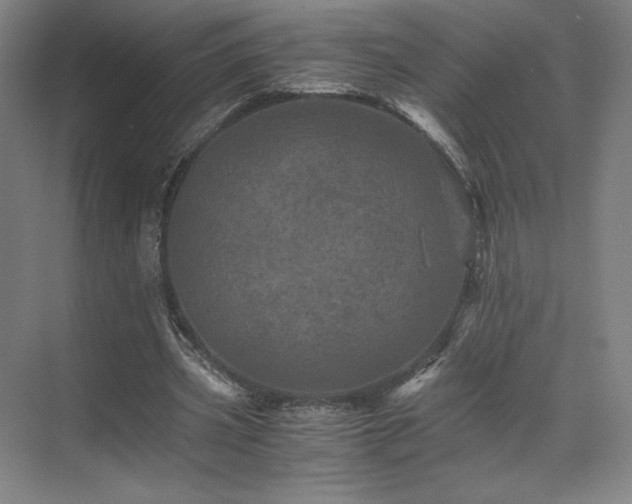 X0000071810533200606301229