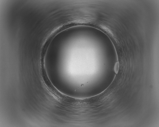 X0000071810535200606301229