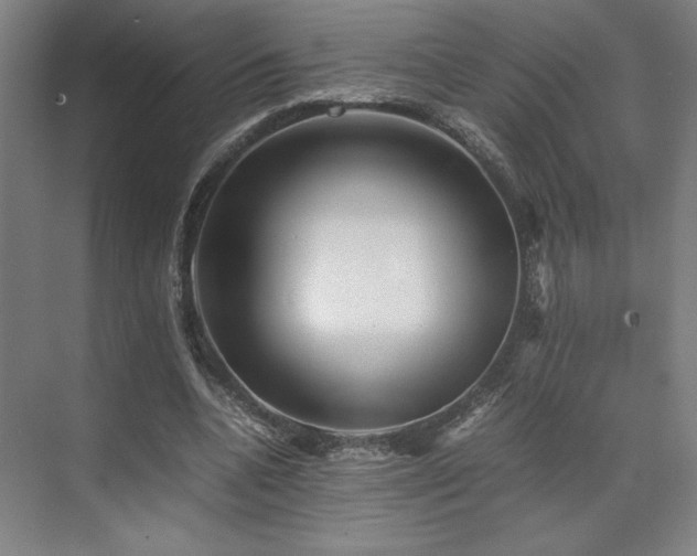 X0000071810536200606301229