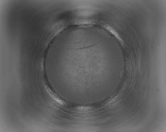 X0000071810537200606301229