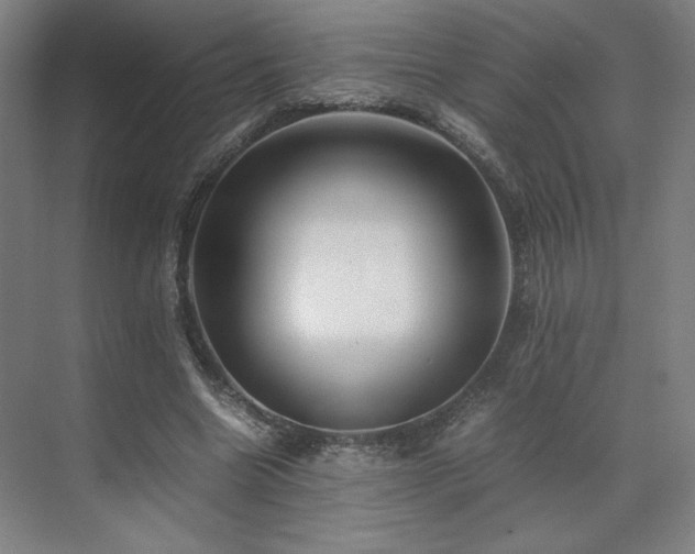 X0000071810538200606301229