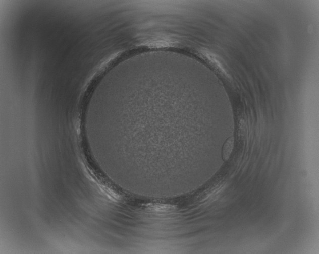 X0000071810539200606301229