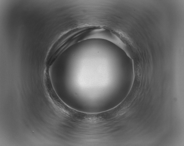 X0000071810540200606301229