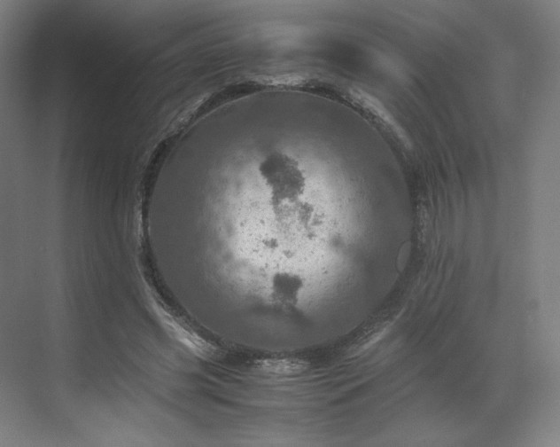 X0000071810541200606301229