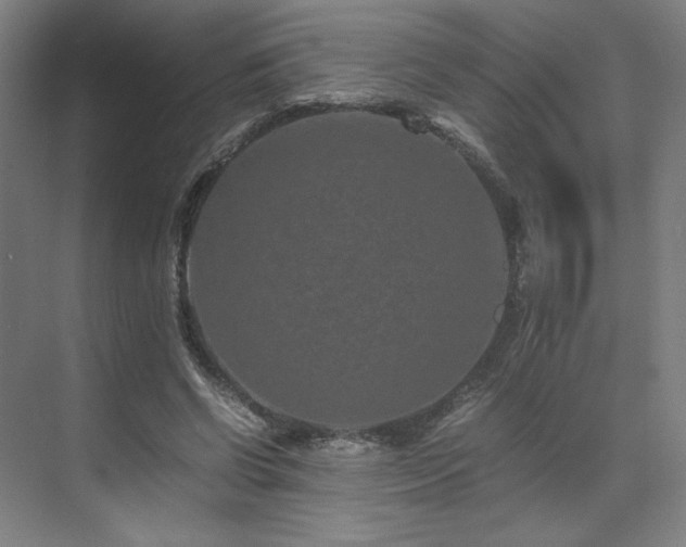 X0000071810542200606301229