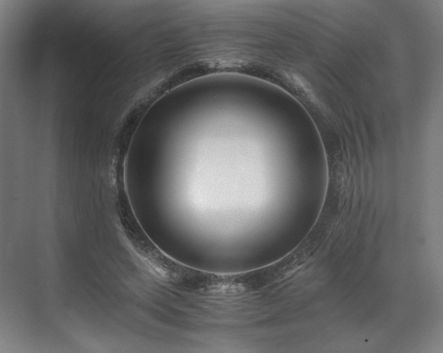 X0000071810543200606301229