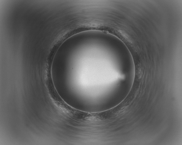 X0000071810544200606301229