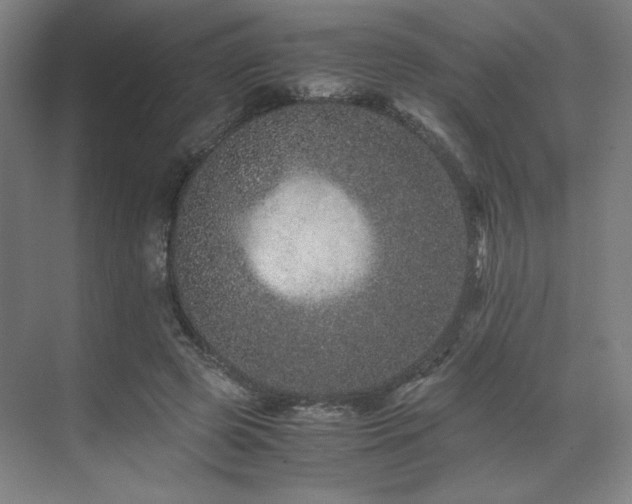 X0000071810545200606301229