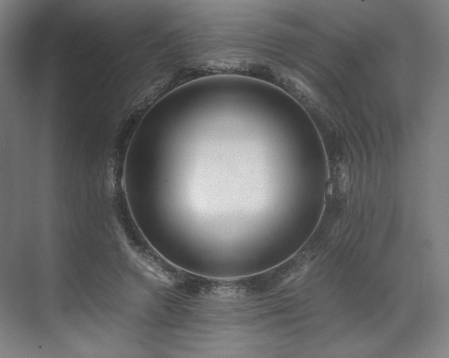 X0000071810546200606301229