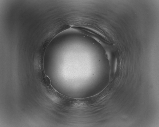 X0000071810547200606301229