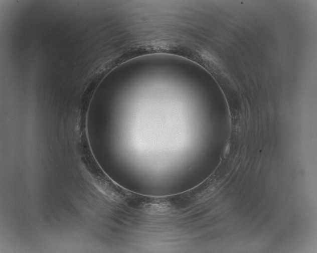 X0000071810548200606301229